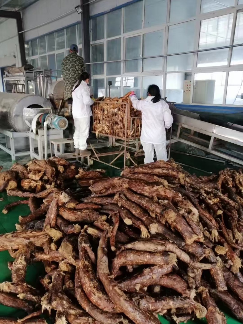 1751962617343920.jpg 微信圖片_20250326085830.jpg