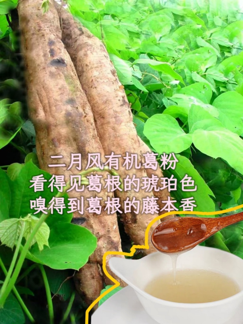 二月風(fēng)有機(jī)葛粉，看得見葛根的琥珀色，嗅得到葛根的藤本香_800.jpg