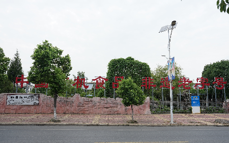 當(dāng)定制葛粉時(shí)，我們真正在選擇什么？